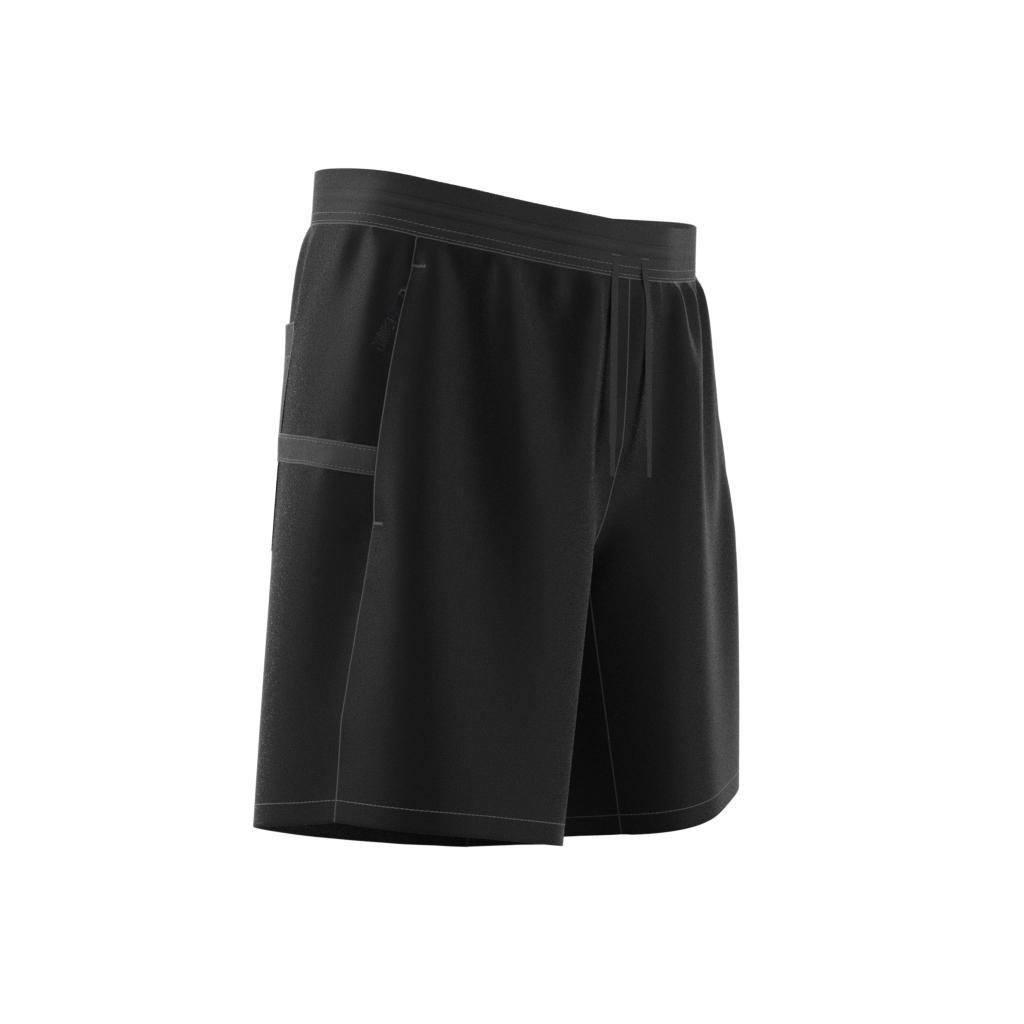 Terrex Liteflex Hiking Shorts, Black, , large image number 14