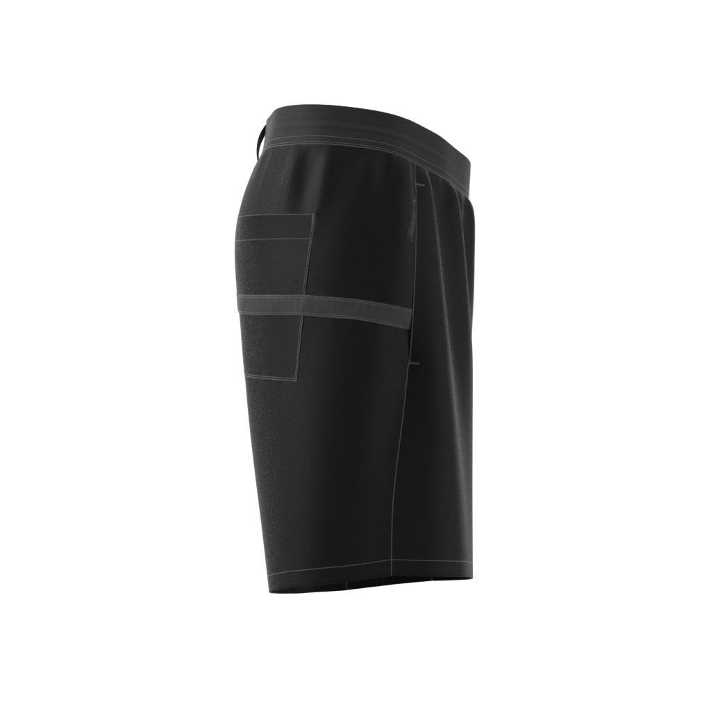 Terrex Liteflex Hiking Shorts, Black, , large image number 20