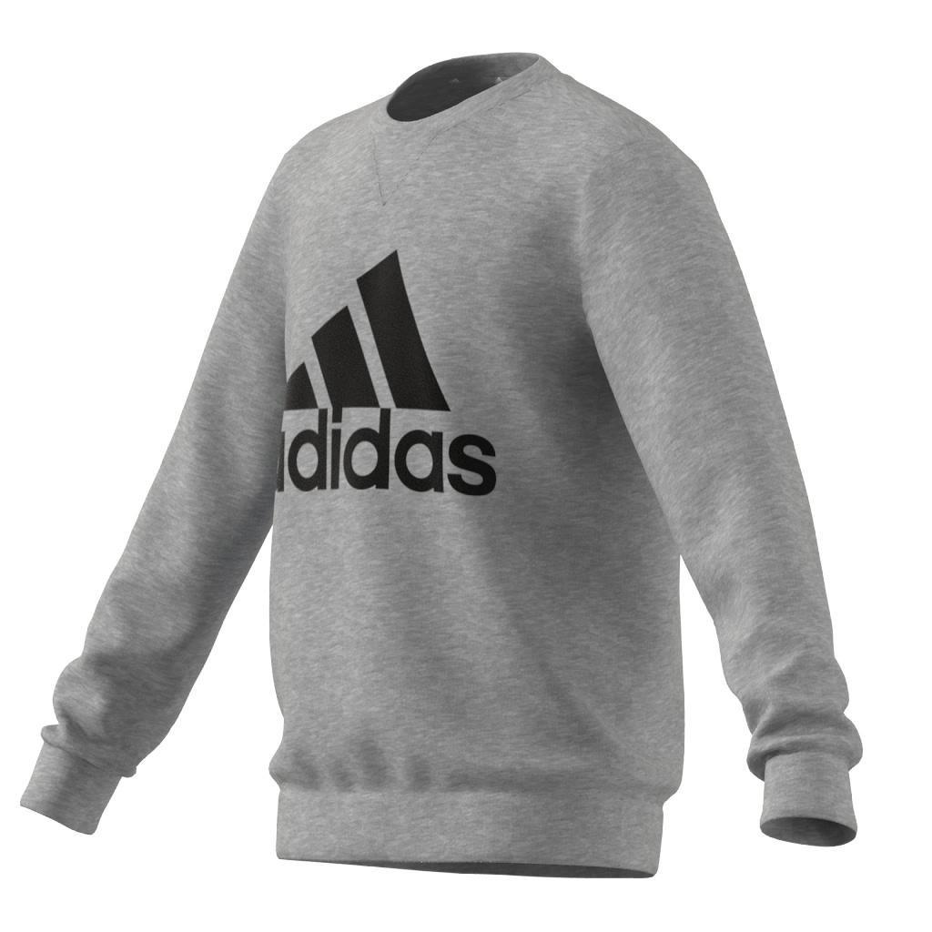 Kids Essentials Sweatshirt, Grey, A901_ONE, large image number 6