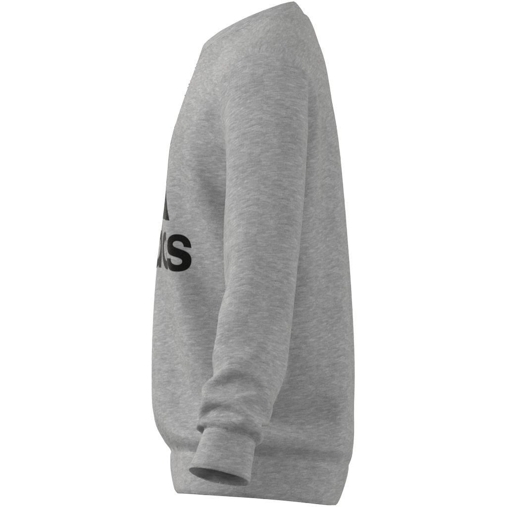 Kids Essentials Sweatshirt, Grey, , large image number 8