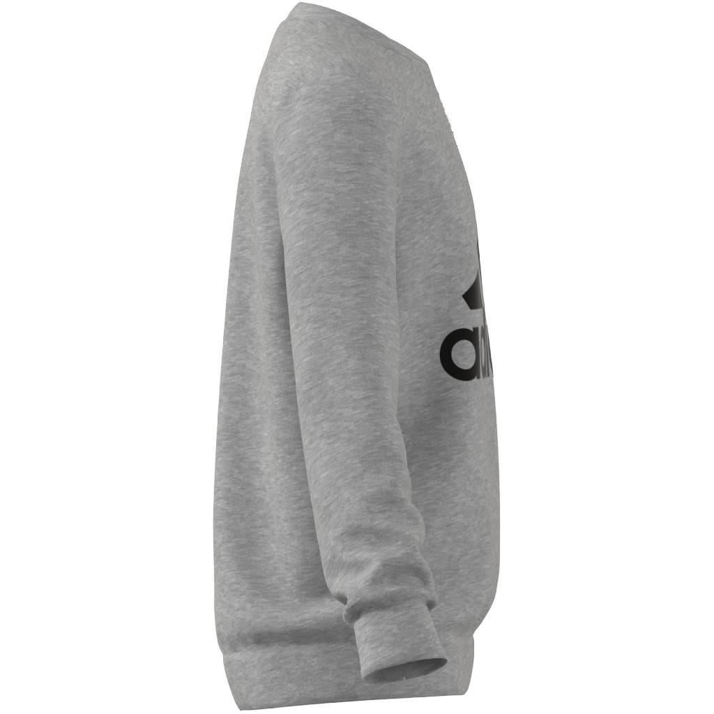 Kids Essentials Sweatshirt, Grey, A901_ONE, large image number 10