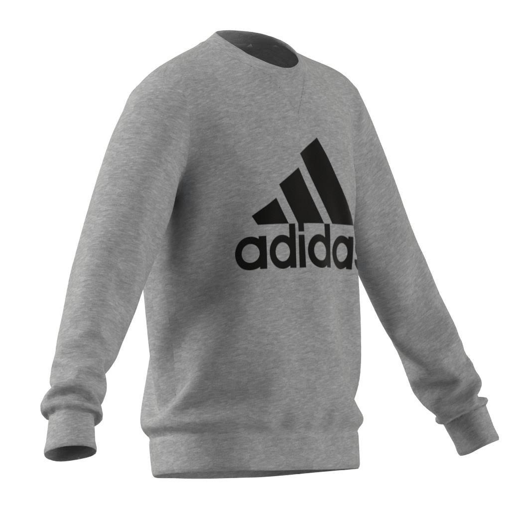 Kids Essentials Sweatshirt, Grey, , large image number 11