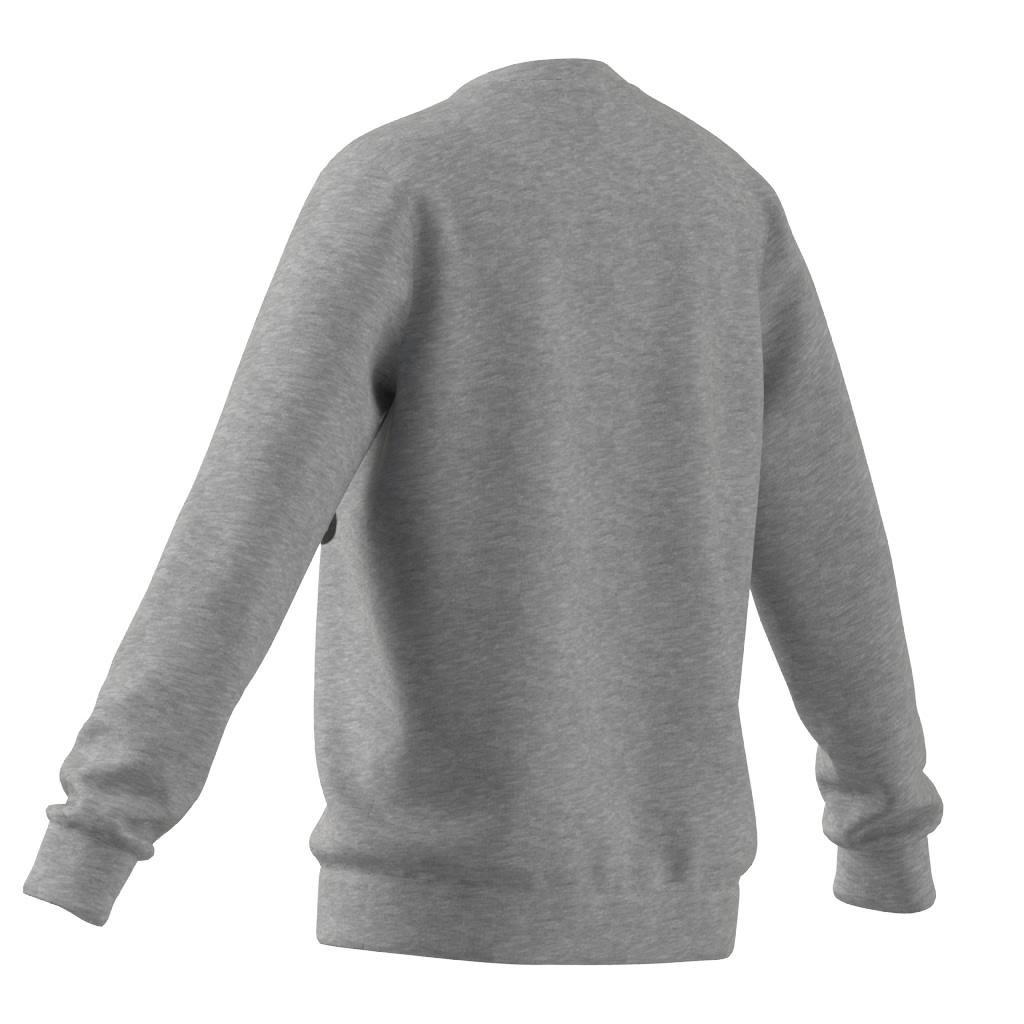 Kids Essentials Sweatshirt, Grey, A901_ONE, large image number 12