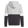 Kids Boys Adidas Colorblock Hoodie, Black, A901_ONE, thumbnail image number 1
