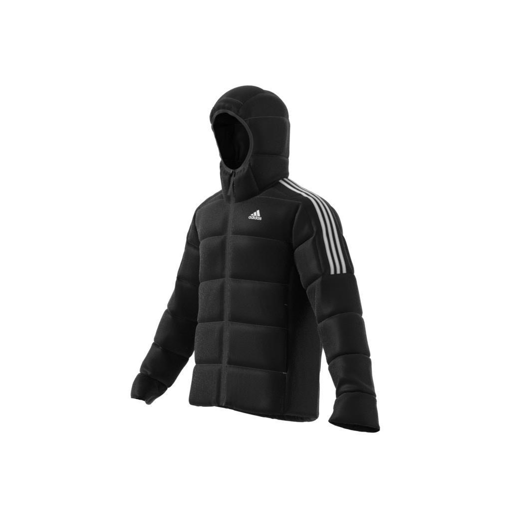 Adidas Essentials Midweight Down Hooded Jacket, Black, A901_ONE, large image number 2