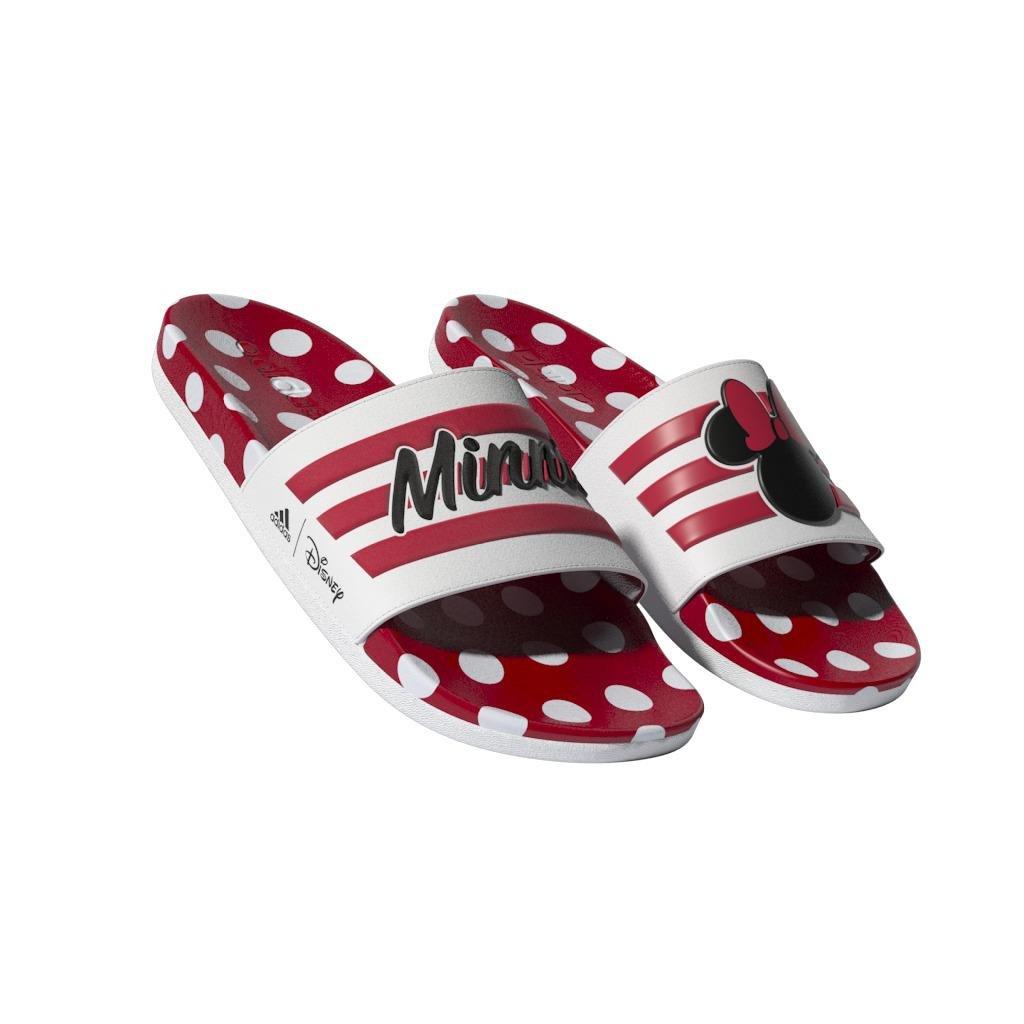 Minnie mouse van outlet slides