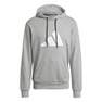 Men Sportswear Future Icons Logo Graphic Hoodie ,Grey, A901_ONE, thumbnail image number 0