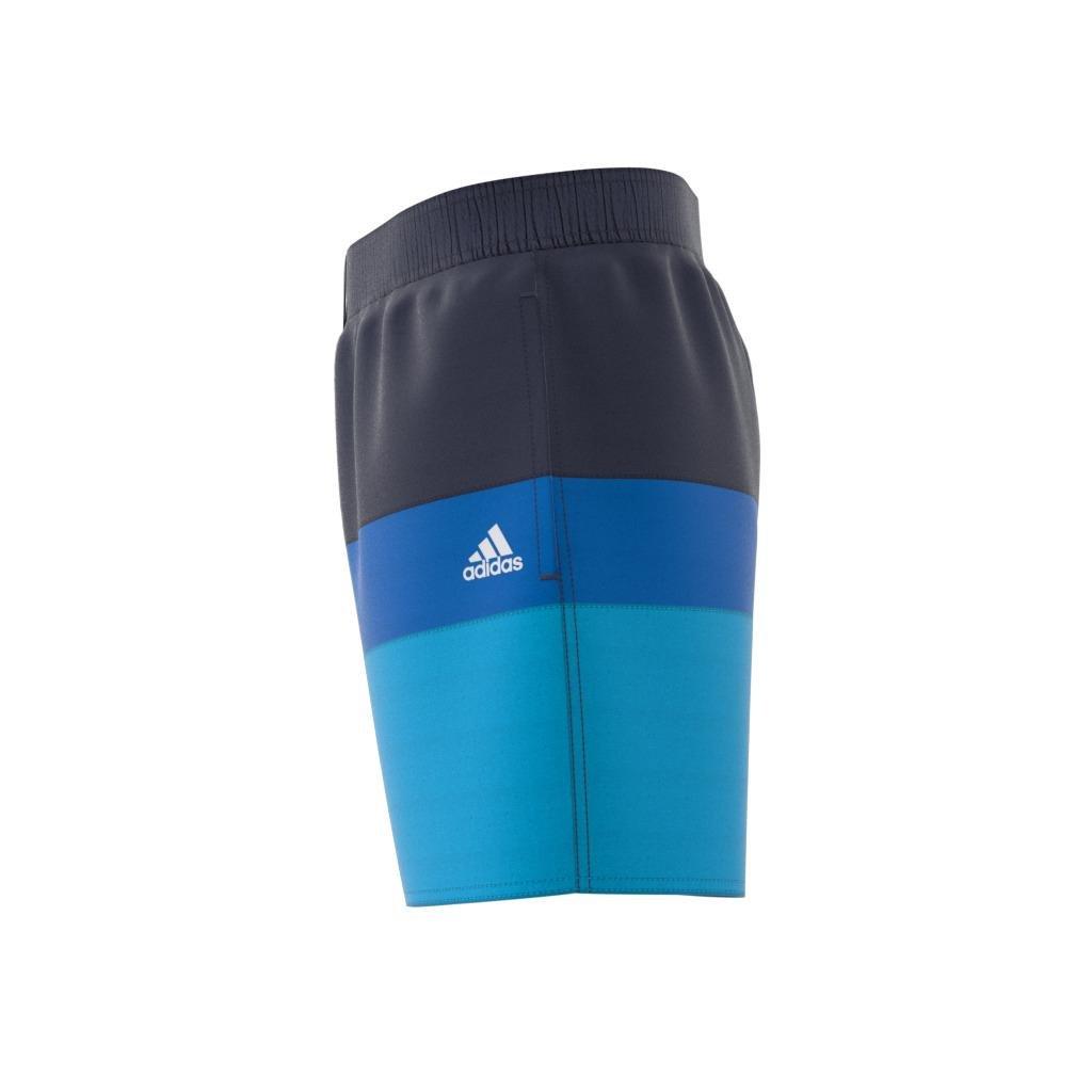Short-Length Colorblock Swim Shorts, Blue, , large image number 14