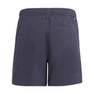 Kids Boys 3-Stripes Swim Shorts, Blue, A901_ONE, thumbnail image number 2