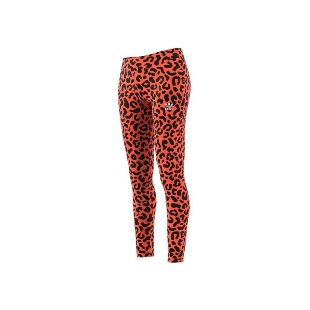 Rich Mnisi Leggings, Orange, A901_ONE, large image number 7