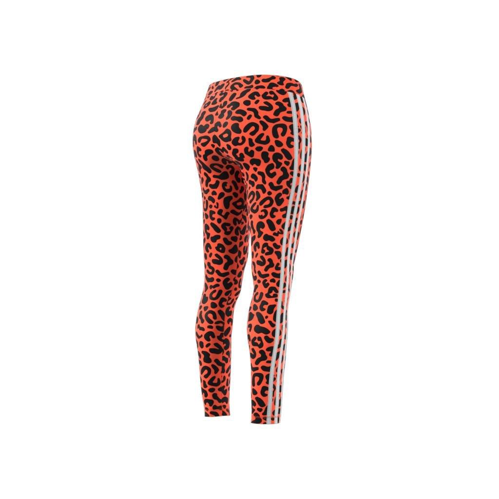 Rich Mnisi Leggings, Orange, A901_ONE, large image number 11