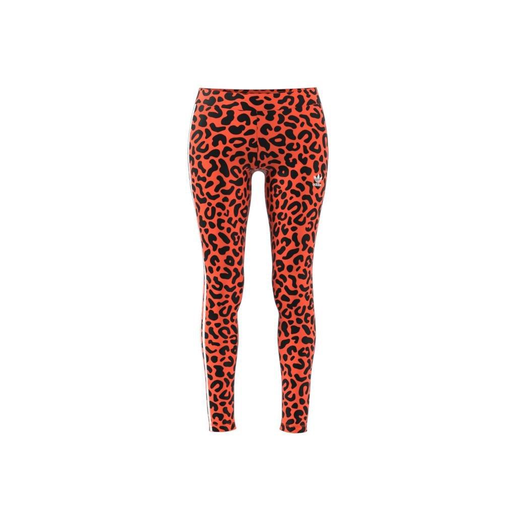 Rich Mnisi Leggings, Orange, A901_ONE, large image number 13