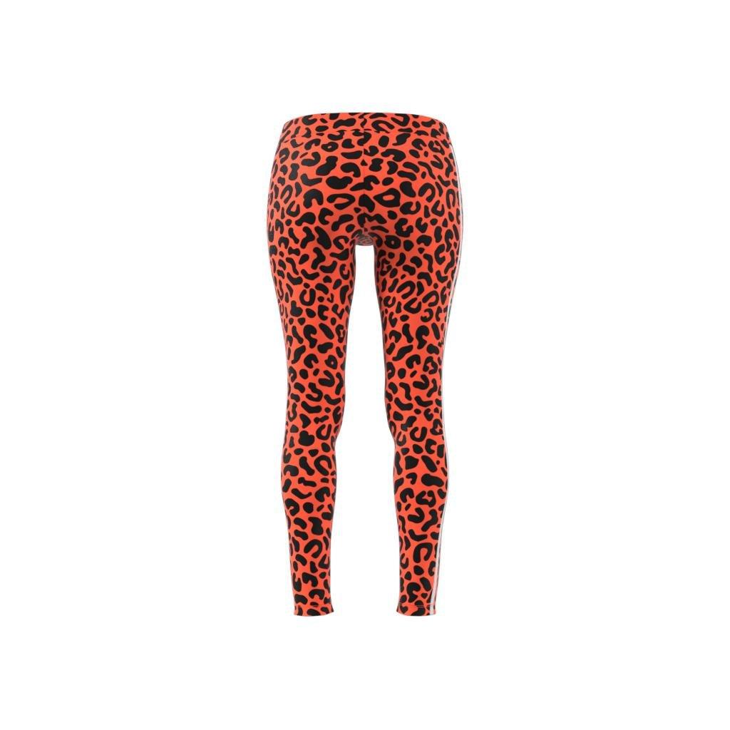 Rich Mnisi Leggings, Orange, A901_ONE, large image number 16