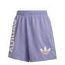 Women Streetball Shorts, Purple, A901_ONE, thumbnail image number 0