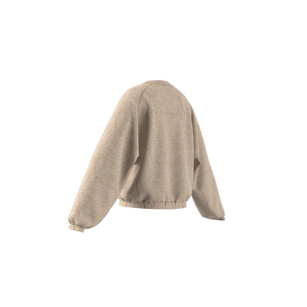 Kids Studio Lounge Botanical Dye Sport Crew Sweatshirt, Beige, , large image number 8