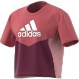 Kids Colorblock T-Shirt, Red, A901_ONE, large image number 18