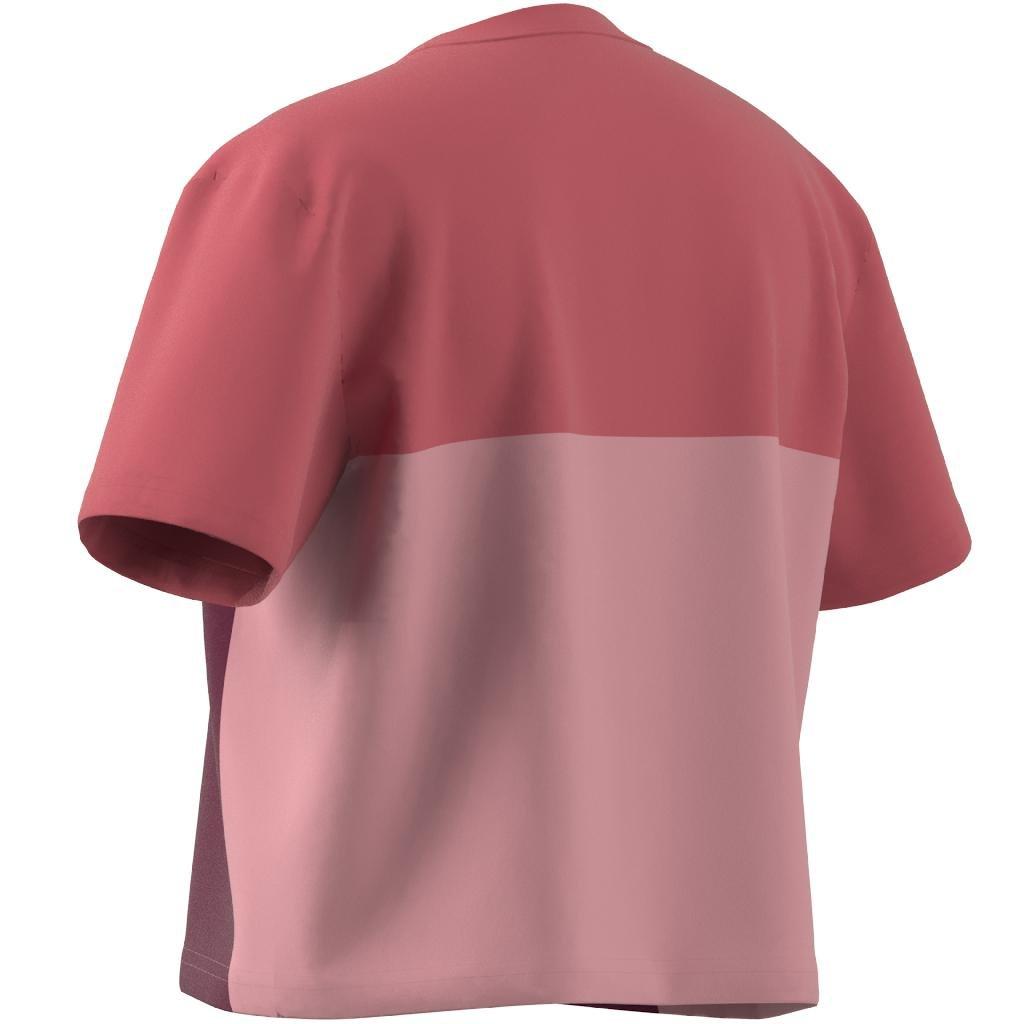 Kids Colorblock T-Shirt, Red, A901_ONE, large image number 21