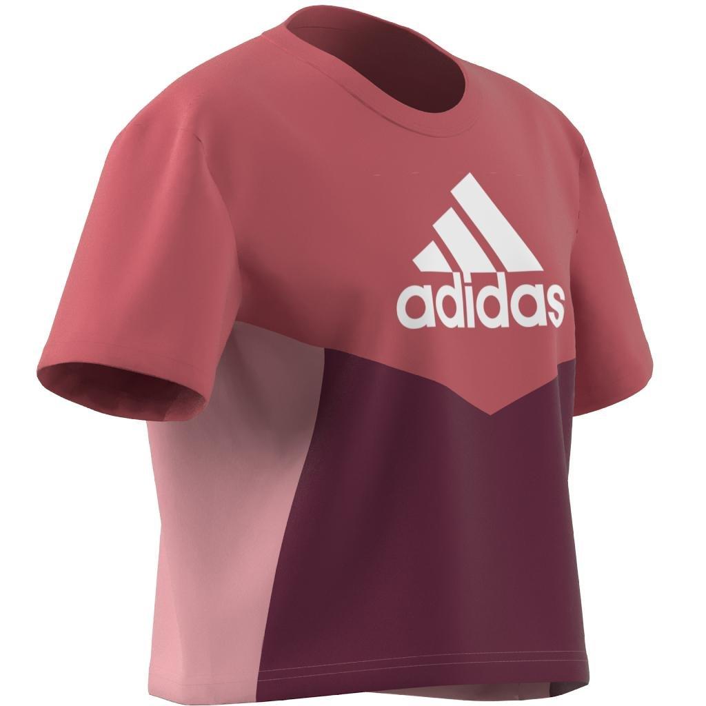 Kids Colorblock T-Shirt, Red, A901_ONE, large image number 22