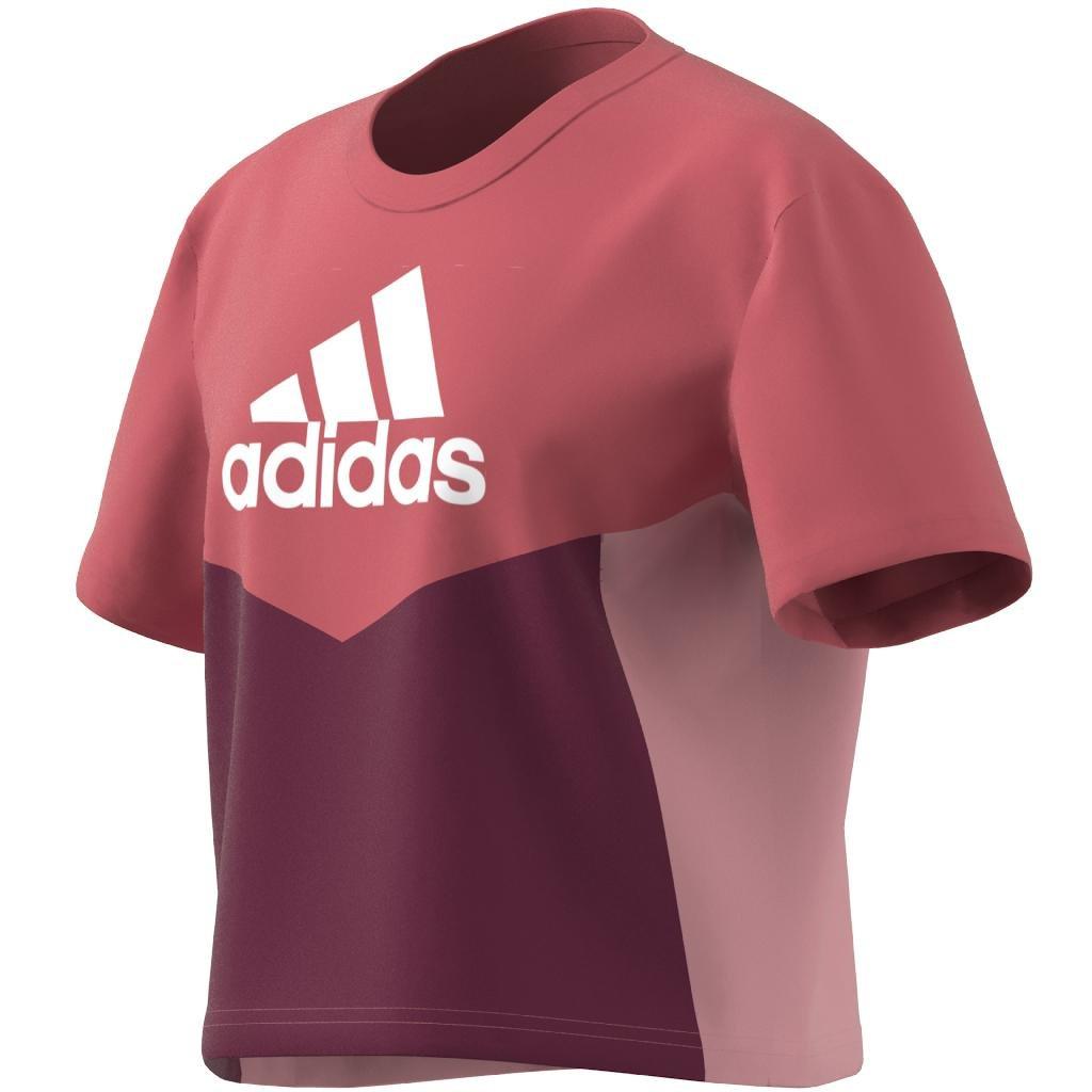 Kids Colorblock T-Shirt, Red, A901_ONE, large image number 25