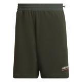 Adventure Shorts Shadow, Green, A901_ONE, large image number 11