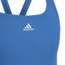 Kids Girls Colorblock 3-Stripes Swimsuit, Blue, A901_ONE, thumbnail image number 3