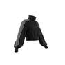 Women Adicolor Classics High-Shine Track Top, Black, A901_ONE, thumbnail image number 33