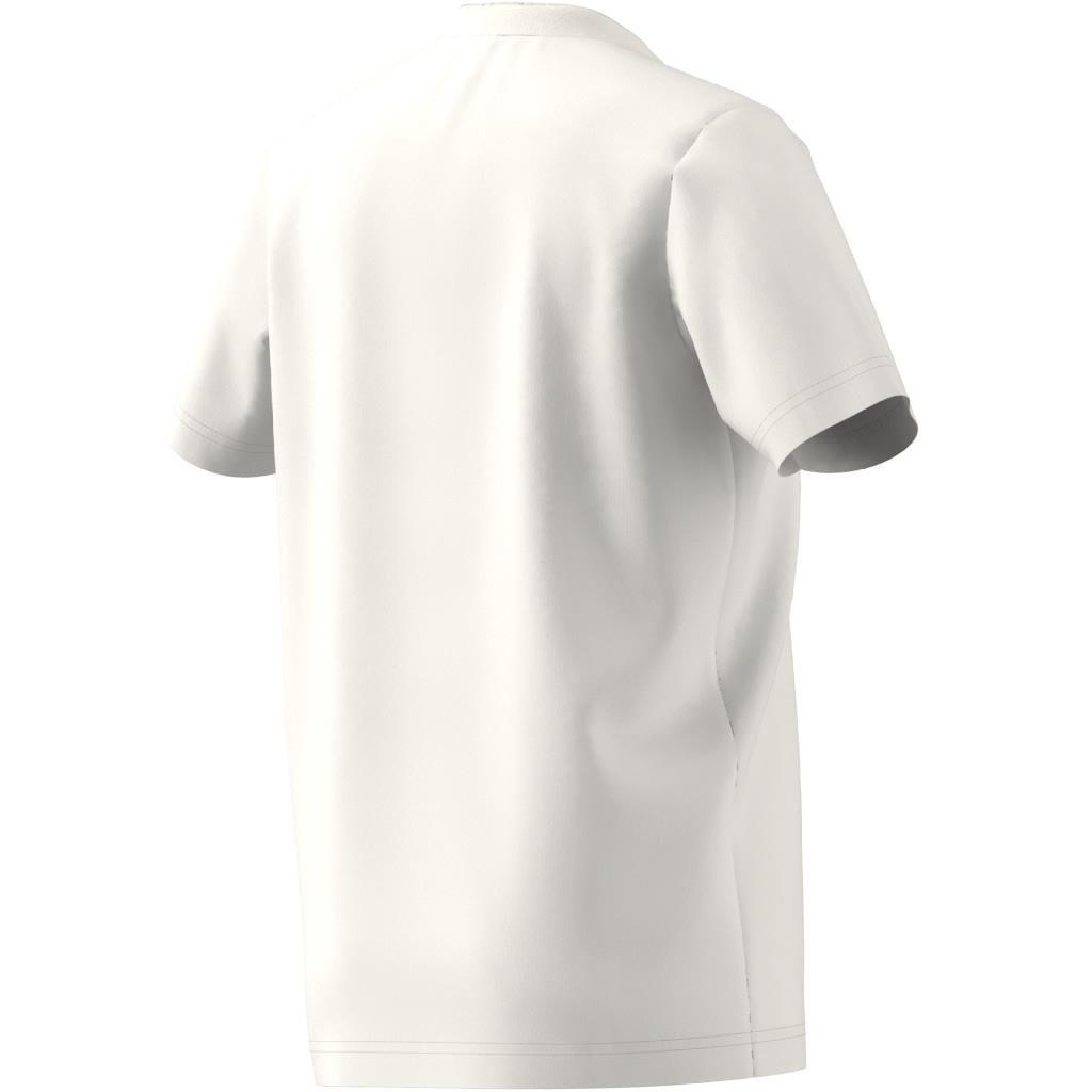 Unisex Kids Adicolor T-Shirt, White, A901_ONE, large image number 8