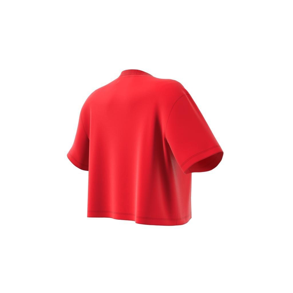 Crop Long-Sleeve Top, Red, , large image number 12