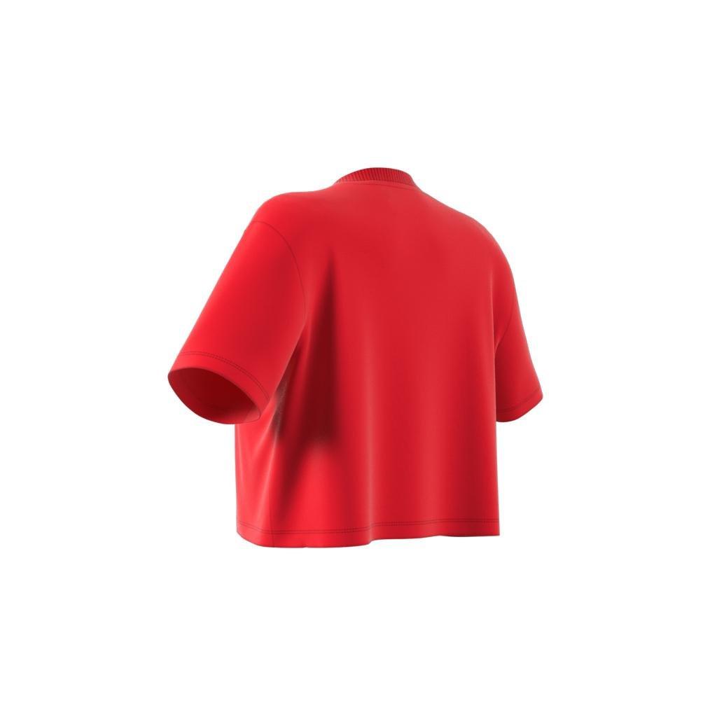 Crop Long-Sleeve Top, Red, , large image number 13