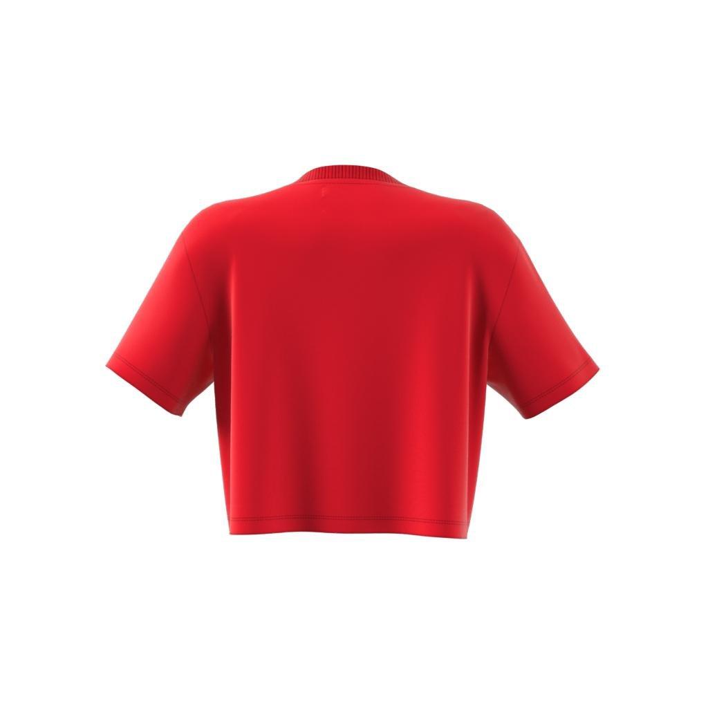 Crop Long-Sleeve Top, Red, , large image number 14