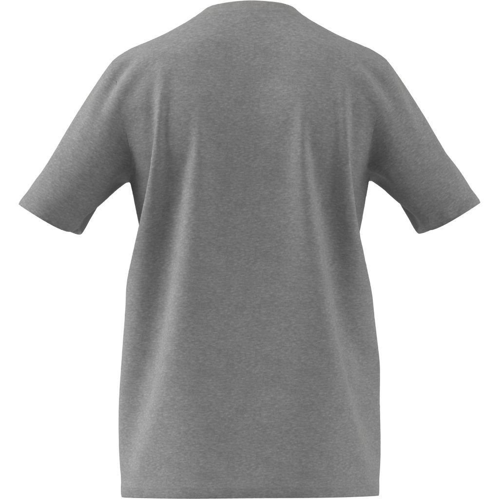 Basics Emblem Graphic T-Shirt, Grey, A901_ONE, large image number 13