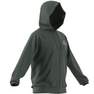 Men Aeroready Game And Go Small Logo Full-Zip Hoodie, Green, A901_ONE, thumbnail image number 13