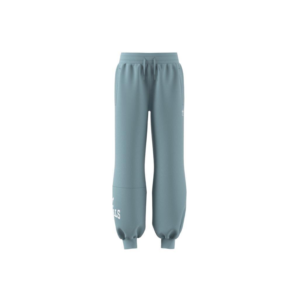 Unisex Kids Graphic Print Tracksuit Bottoms, Grey, , large image number 6