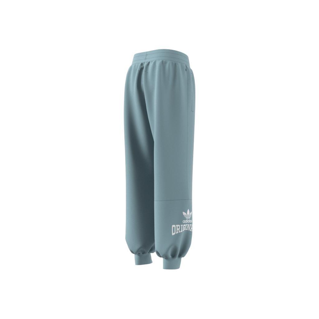 Unisex Kids Graphic Print Tracksuit Bottoms, Grey, , large image number 12