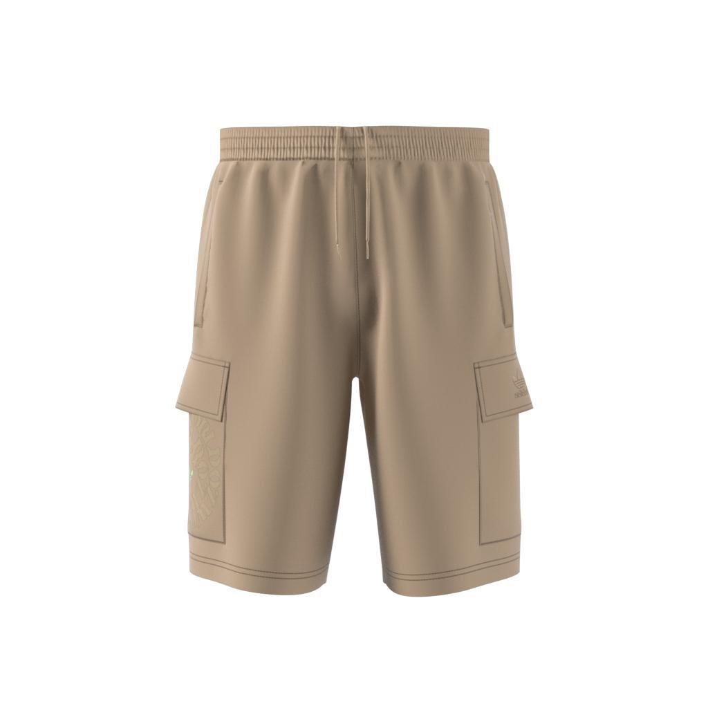 Graphic Ozworld Cargo Shorts, Beige, , large image number 9