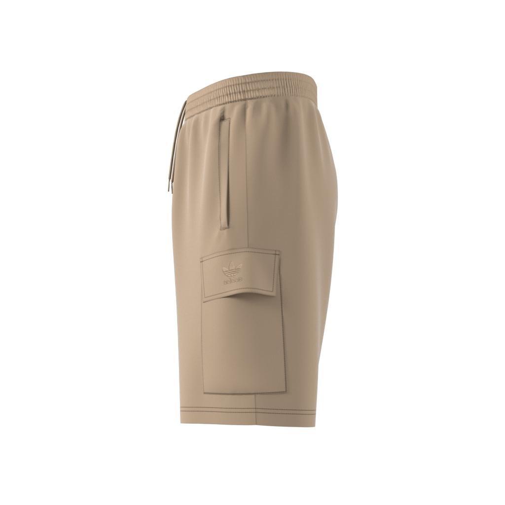 Graphic Ozworld Cargo Shorts, Beige, , large image number 11