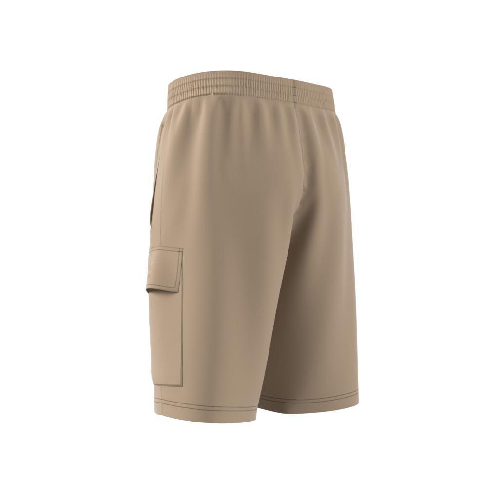 Graphic Ozworld Cargo Shorts, Beige, , large image number 12