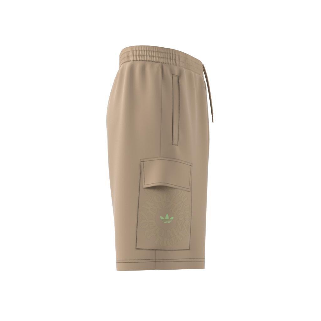 Graphic Ozworld Cargo Shorts, Beige, , large image number 13