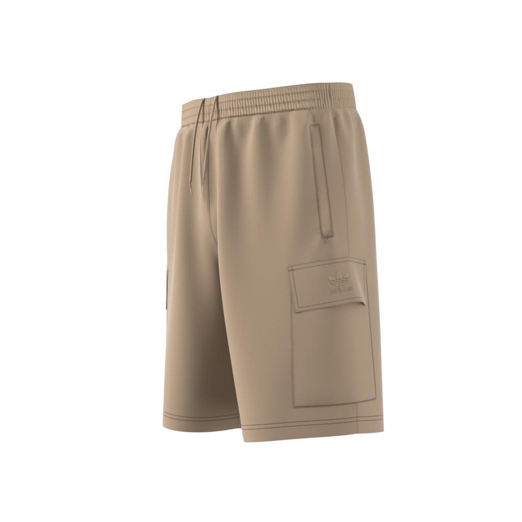 Graphic Ozworld Cargo Shorts, Beige, , large image number 14