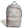 Kids Unisex Classic Backpack, Grey, A901_ONE, thumbnail image number 2