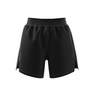 Women Adicolor Contempo Shorts, Black, A901_ONE, thumbnail image number 10