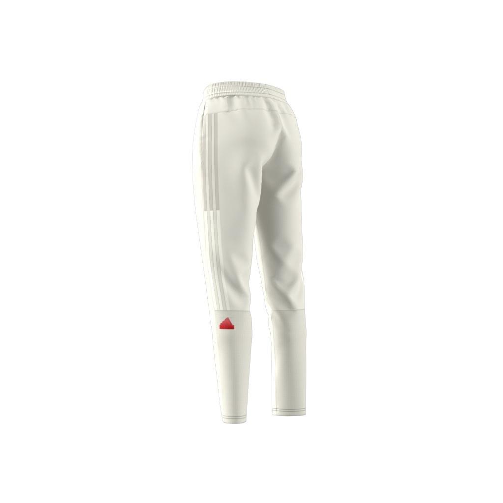 Tricot Joggers, White, A901_ONE, large image number 17