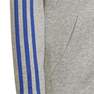 Kids Boys Essentials 3-Stripes Hoodie, Grey, A901_ONE, thumbnail image number 5