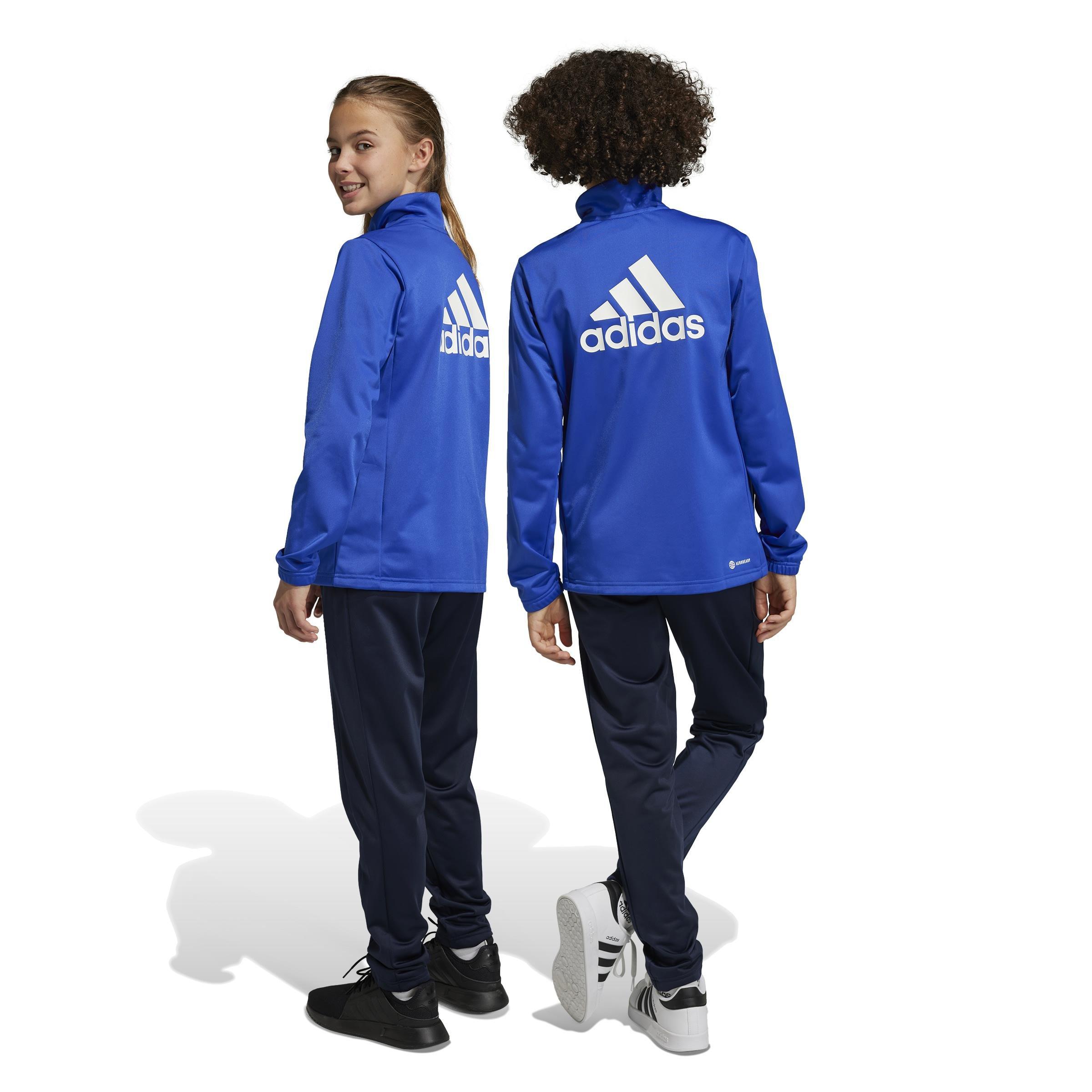 Unisex Essentials Big Logo Tracksuit, Blue, A901_ONE, large image number 1