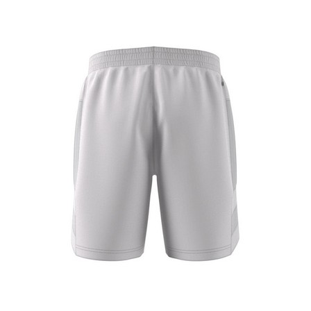 Men Rekive Shorts, Grey, A901_ONE, large image number 14