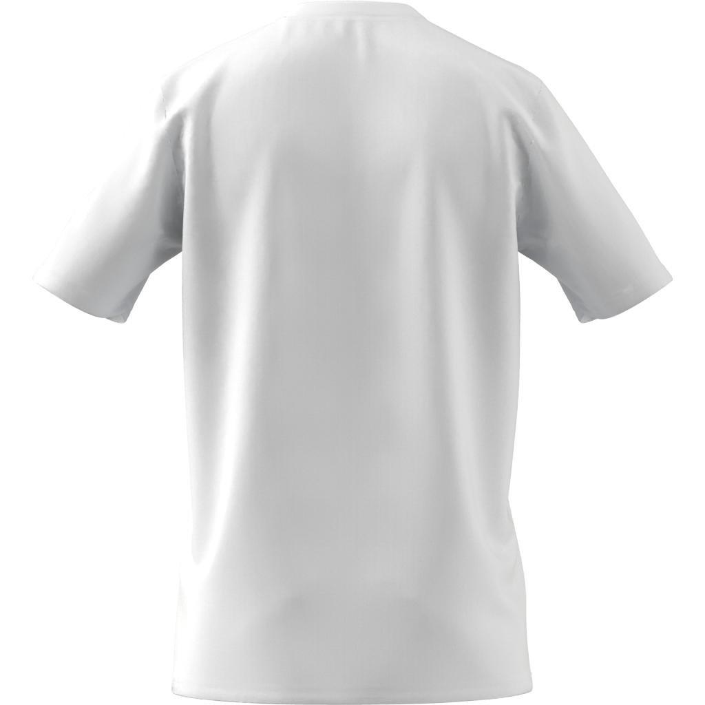 Linear Beach-Bit Short Sleeve Graphic T-Shirt, White, A901_ONE, large image number 6
