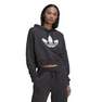 Women Cropped Hoodie, Grey, A901_ONE, thumbnail image number 0