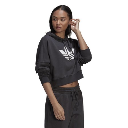 Women Cropped Hoodie, Grey, A901_ONE, large image number 1