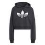 Women Cropped Hoodie, Grey, A901_ONE, thumbnail image number 2