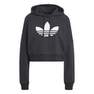 Women Cropped Hoodie, Grey, A901_ONE, thumbnail image number 4